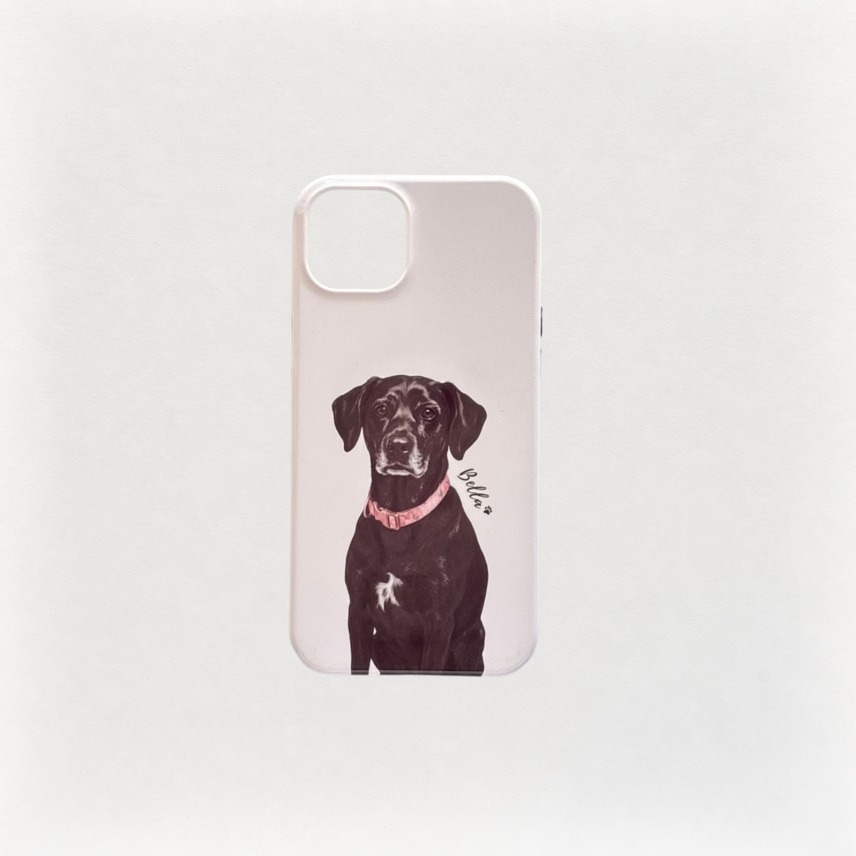 Custom Pet Case